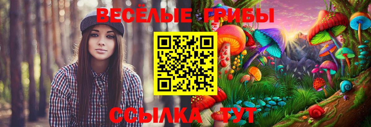 Галлюциногенные грибы GOLDEN TEACHER  Вход с VPN  Благовещенск 